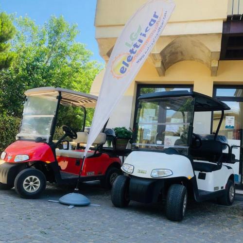 LG Elettricar Albarella - Noleggio Golf Car - 3