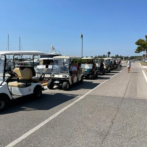 LG Elettricar Albarella - Noleggio Golf Car - 8